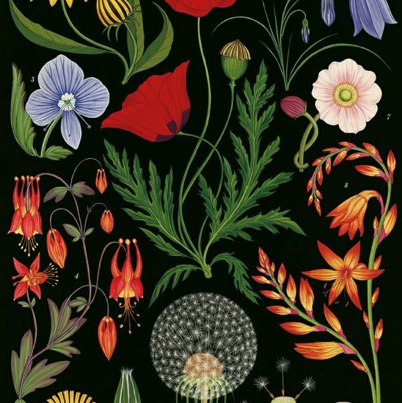 5/$15 on Stickers & Buttons! Mix and Match 🌈 - Picture 4 of 7